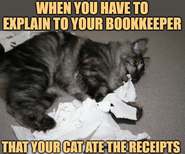 Cats, the original paper shredders Imgflip