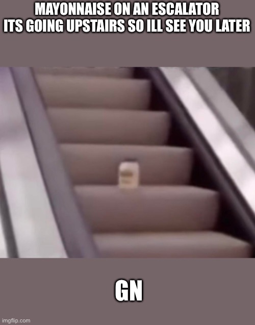 mayonnaise on an escalator Imgflip