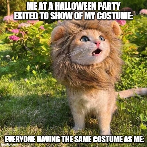 Halloween parties Imgflip