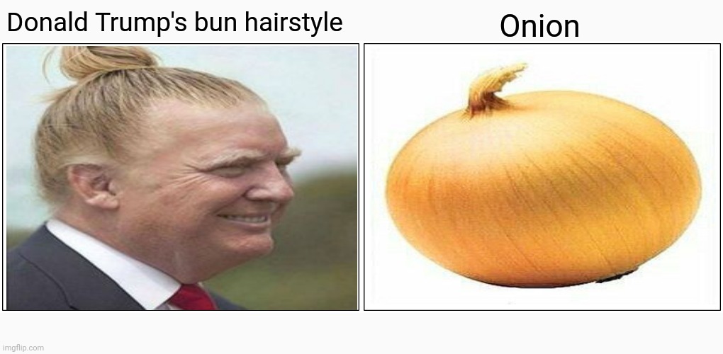 Onion lookalike Imgflip
