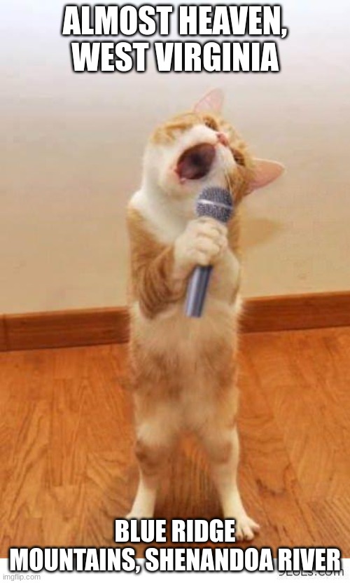Cat Singer Imgflip