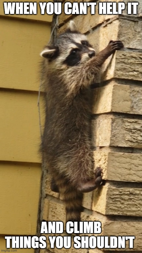 Rock Climbing Off The Rocks Imgflip