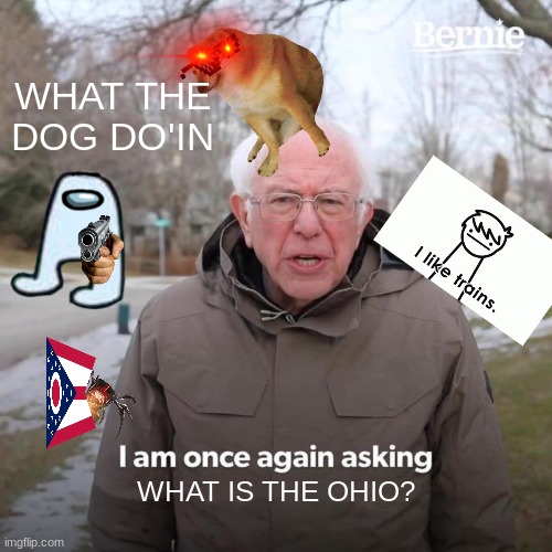 WHAT IS OHIO Imgflip
