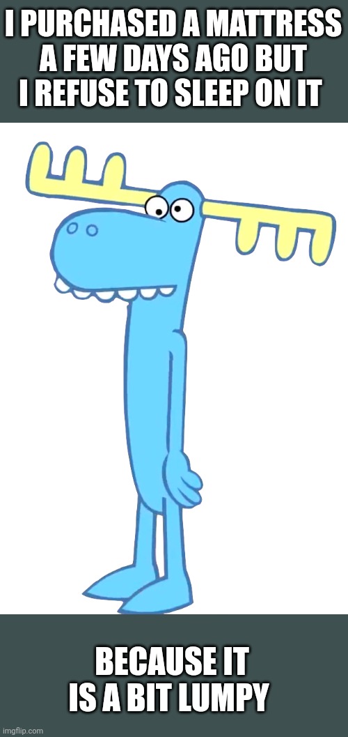 This mattress is lumpy Imgflip