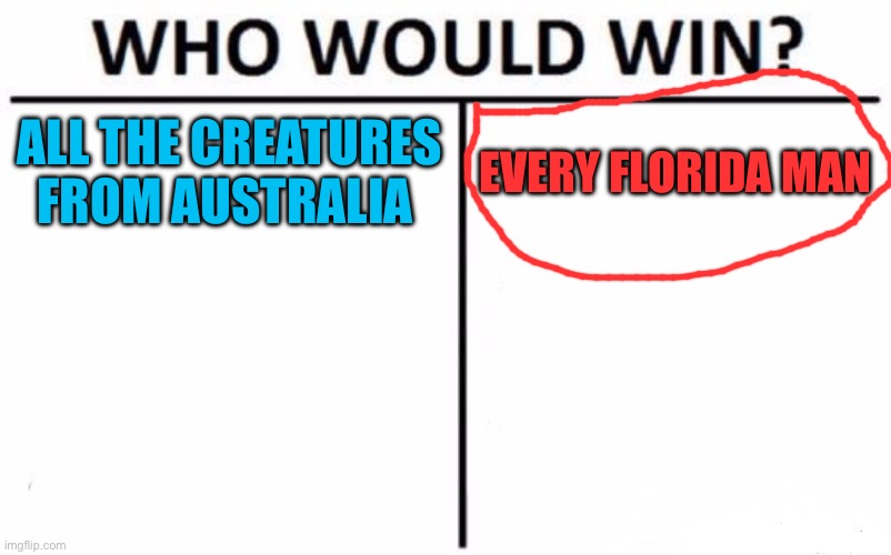 Organized fight Imgflip