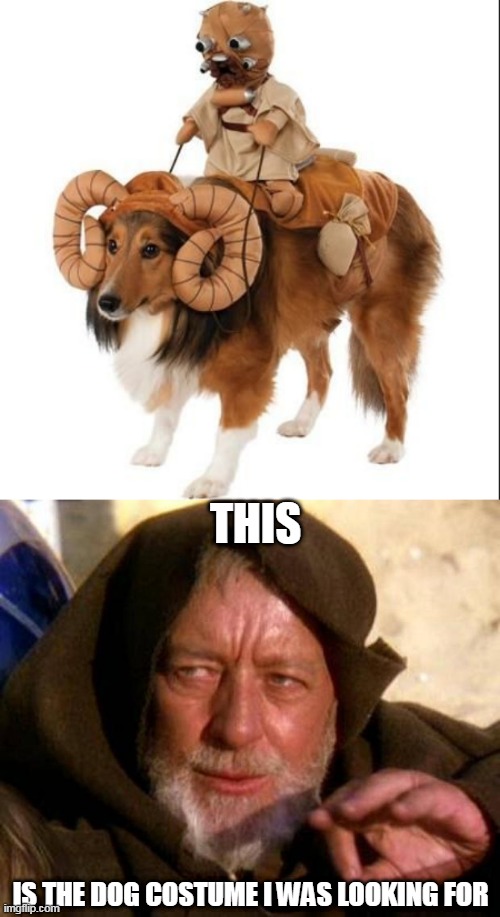 THE PERFECT DOG COSTUME Imgflip