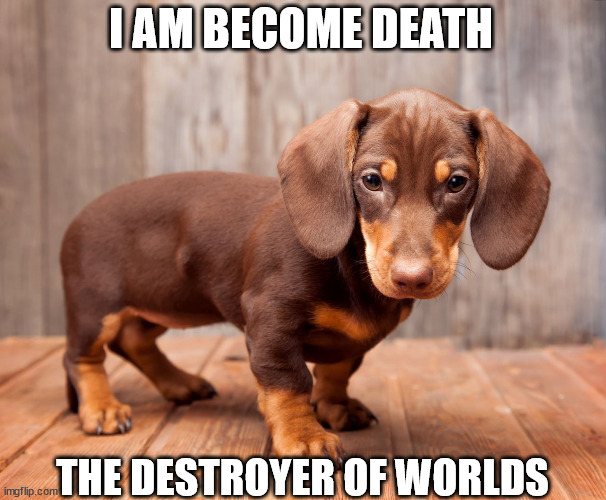 Weiner Dog destroyer of worlds Imgflip