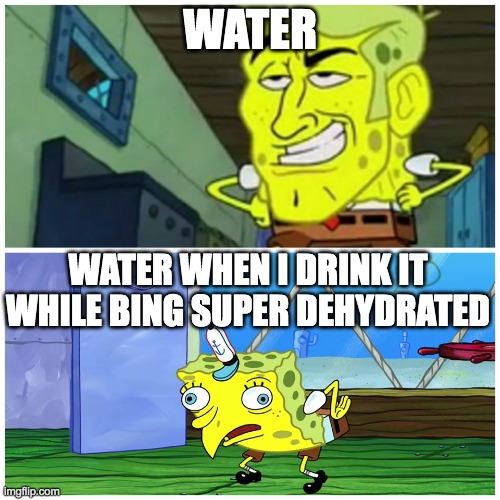 Basically water in a nutshell Imgflip