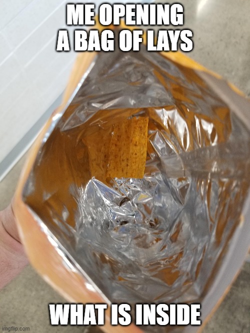 what is inside of a bag of lays Imgflip