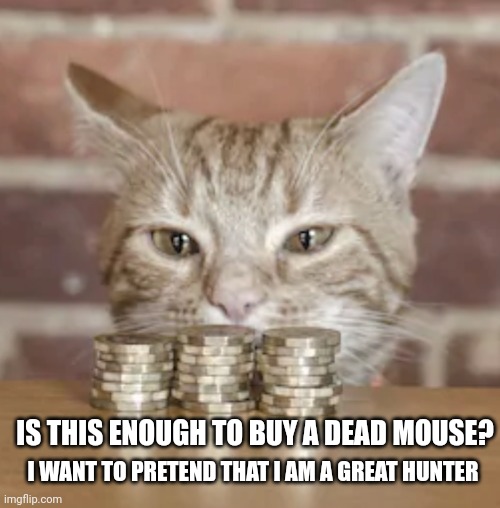 Kitty cash Imgflip