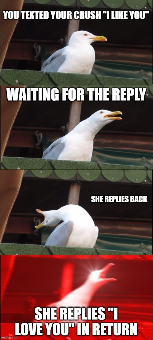 Hahaha i wish Imgflip