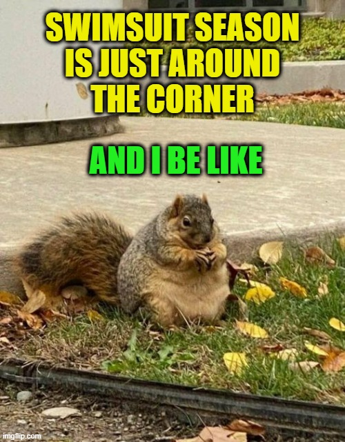 swimsuit Memes & GIFs Imgflip