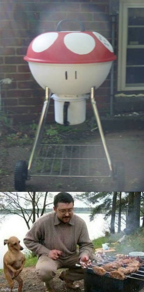 Super Mario Mushroom grill Imgflip