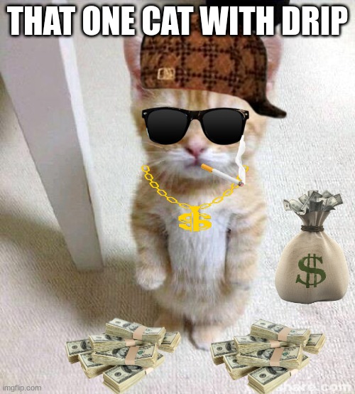Cute Cat Meme Imgflip