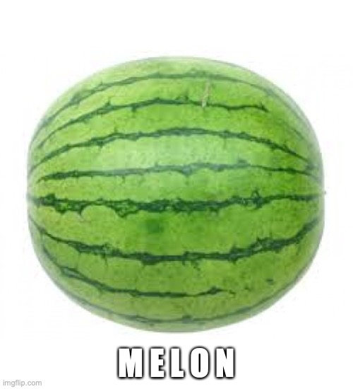 Watermelon Imgflip