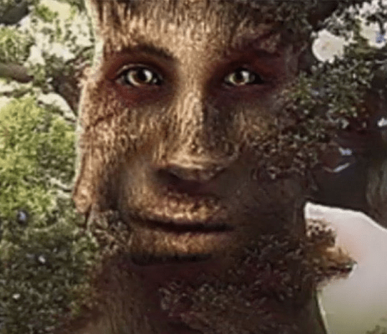 wise tree fluoride stare Blank Template - Imgflip