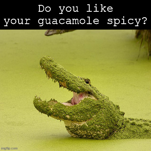 Spicy Guacamole Imgflip