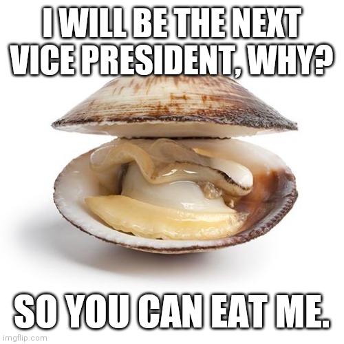clam Memes Imgflip