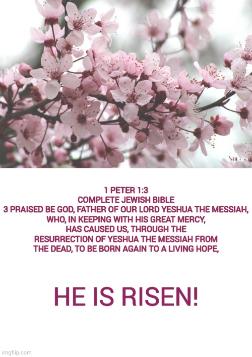 He Is Risen! Imgflip