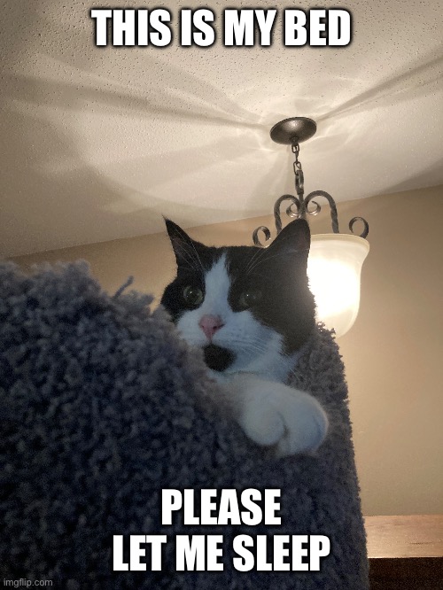 He wants to sleep Imgflip