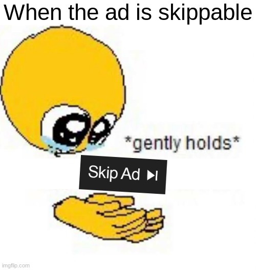 A skippable ad... Imgflip