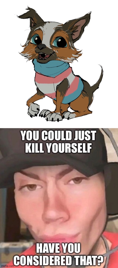 THE DOG FROM PUSS IN BOOTS????? Imgflip