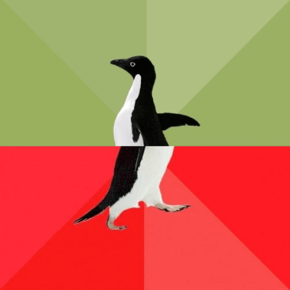 Socially Average Awesome Penguin Blank Template Imgflip
