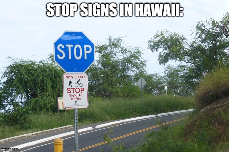 Only in Hawaii Imgflip