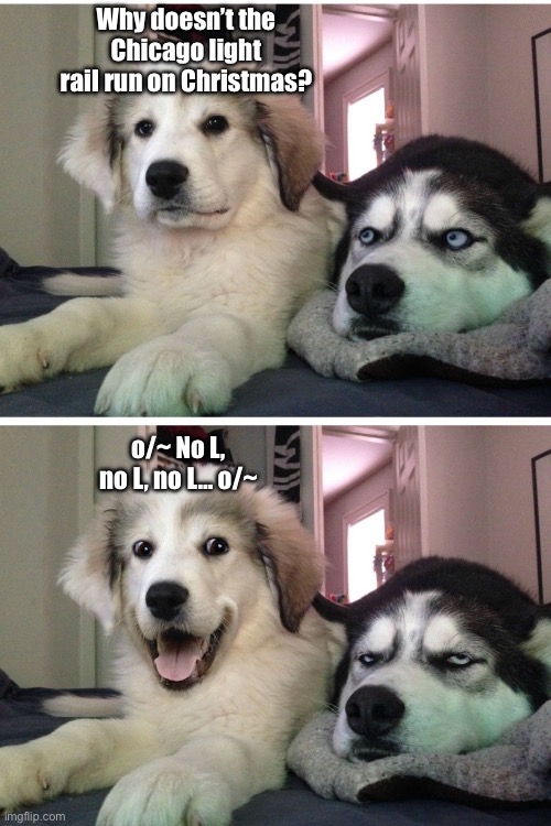 Bad pun dogs Imgflip