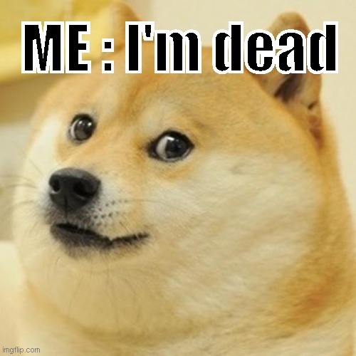 Doge Meme Imgflip