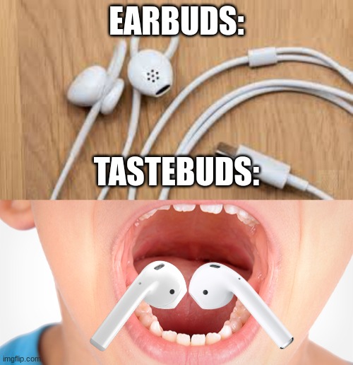 tastebuds Imgflip