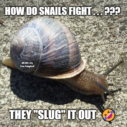 Slow as a snail... Imgflip