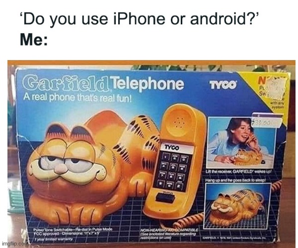 Image tagged in funny,cat,phone,meme,why are you reading the tags,you