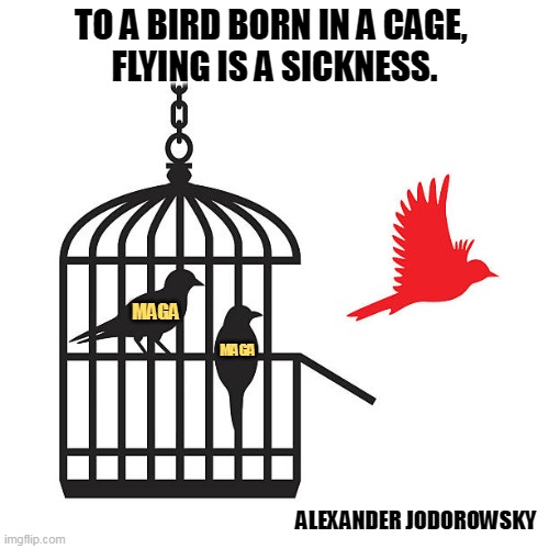 Image tagged in bird,cage,freedom,sickness,maga Imgflip