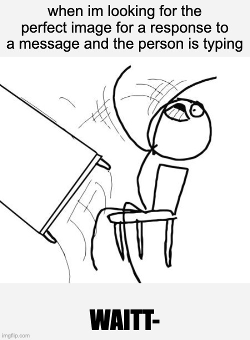 Table Flip Guy Meme Imgflip