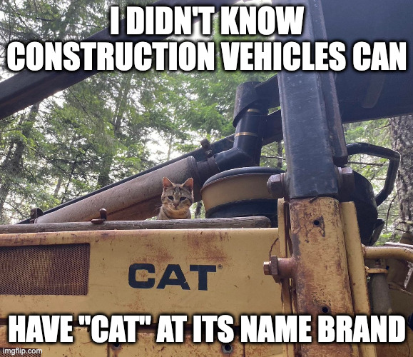 Cat on Construction Vehicle Imgflip