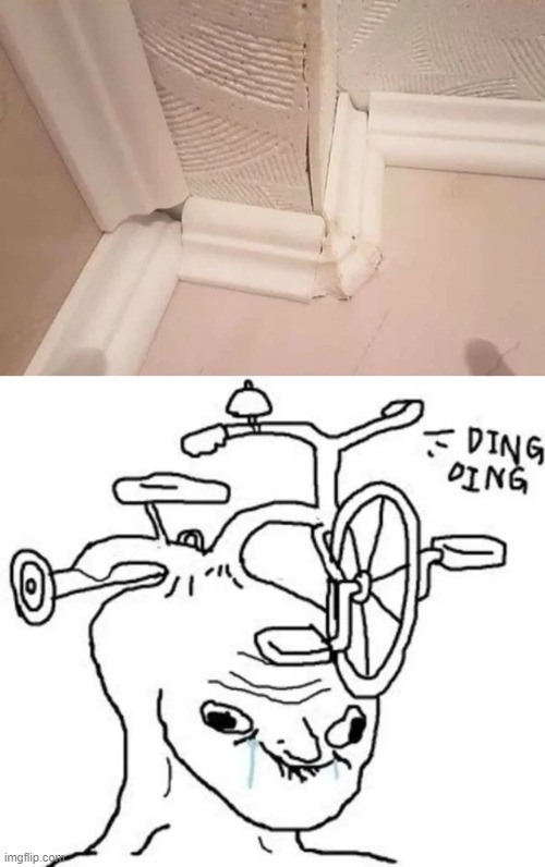 This floor moulding Imgflip