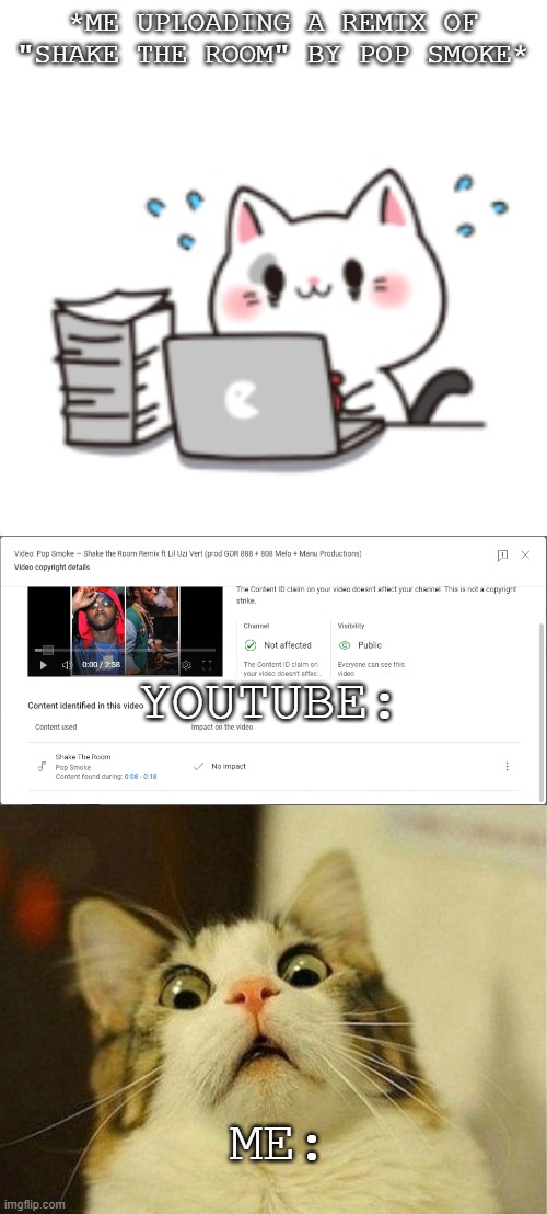 frantically typing cat by mixflavor Memes & GIFs Imgflip