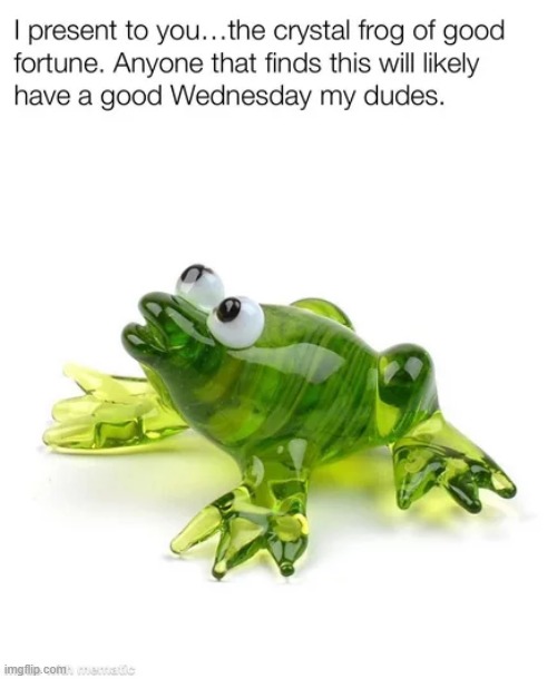 Image tagged in frogs,memes,funny Imgflip