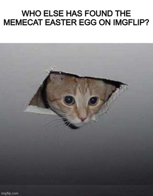Memecat XD Imgflip