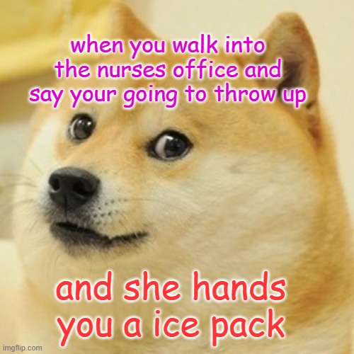 Doge Meme Imgflip
