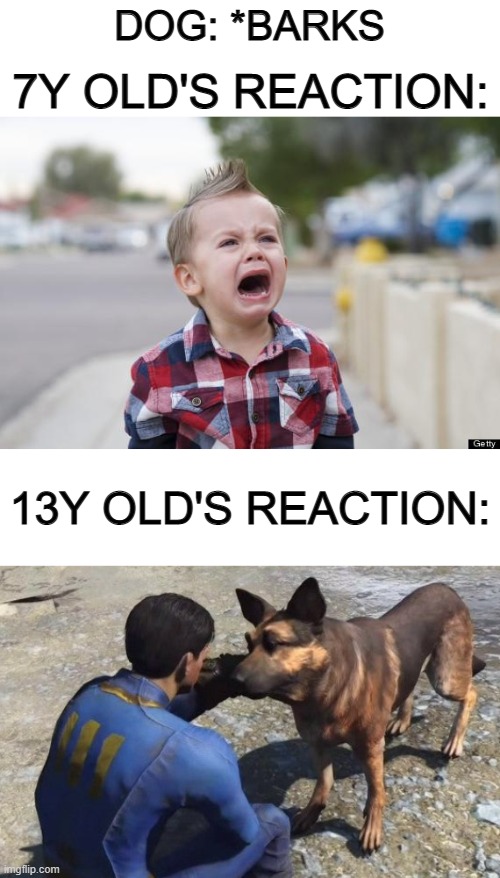 Only takes 6 fricking years to stop getting startled _ Imgflip