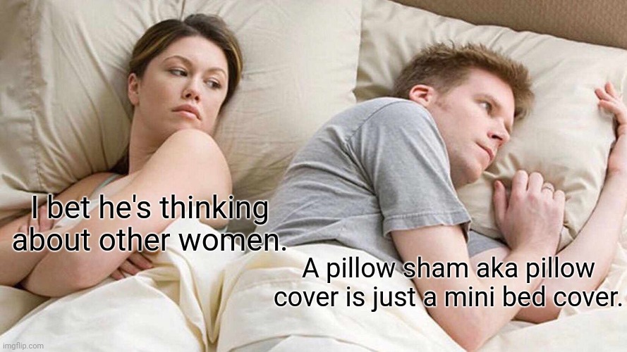 Pillow sham aka pillow cover Imgflip