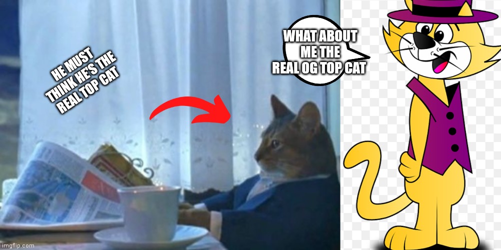 The Top cat and then here's the real OG top cat Imgflip