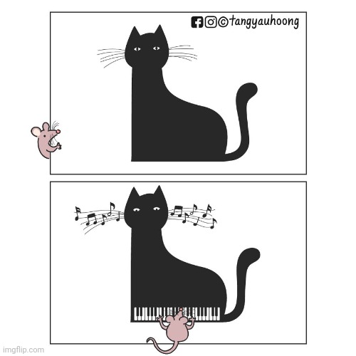 Piano cat Imgflip