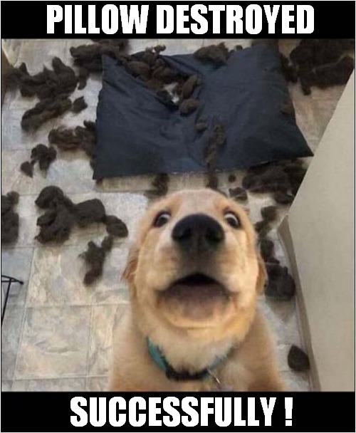 It Was Asking For It ! Imgflip