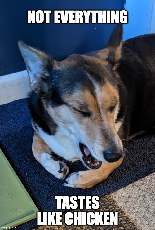 Frustrated Pup Imgflip