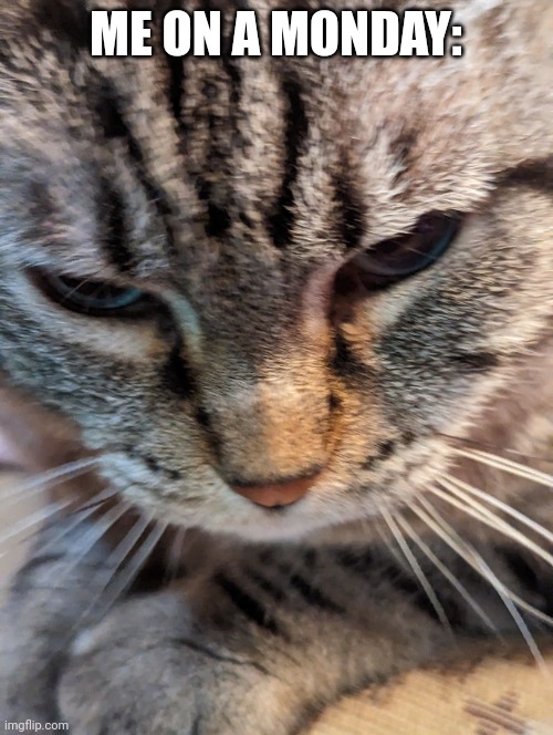 I hate monday Imgflip