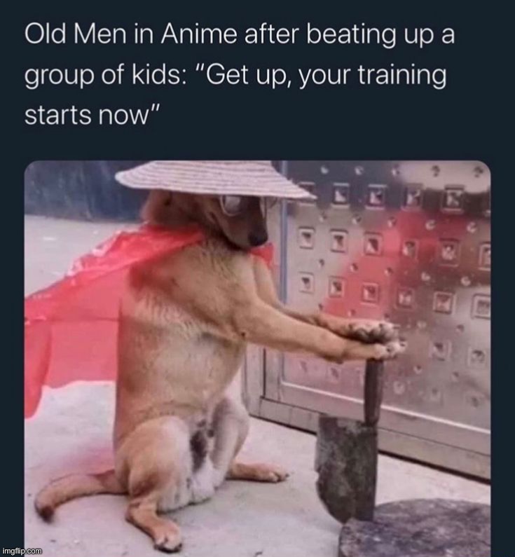 Update 71+ dog with hat meme anime super hot in.cdgdbentre