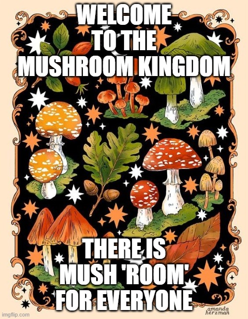There is Mush 'Room' for Everyone Imgflip